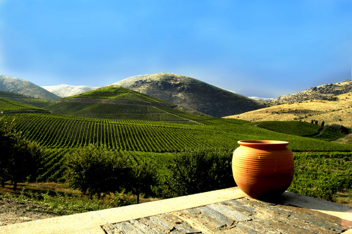 vins portugais du dâo