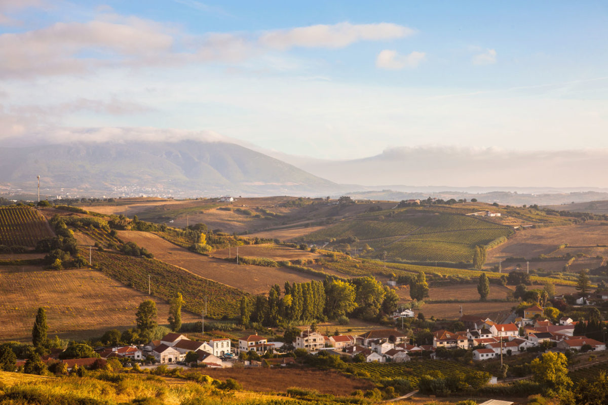 Terroir Quinta de Chocapalha